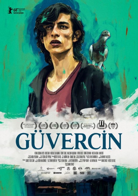 Güvercin 